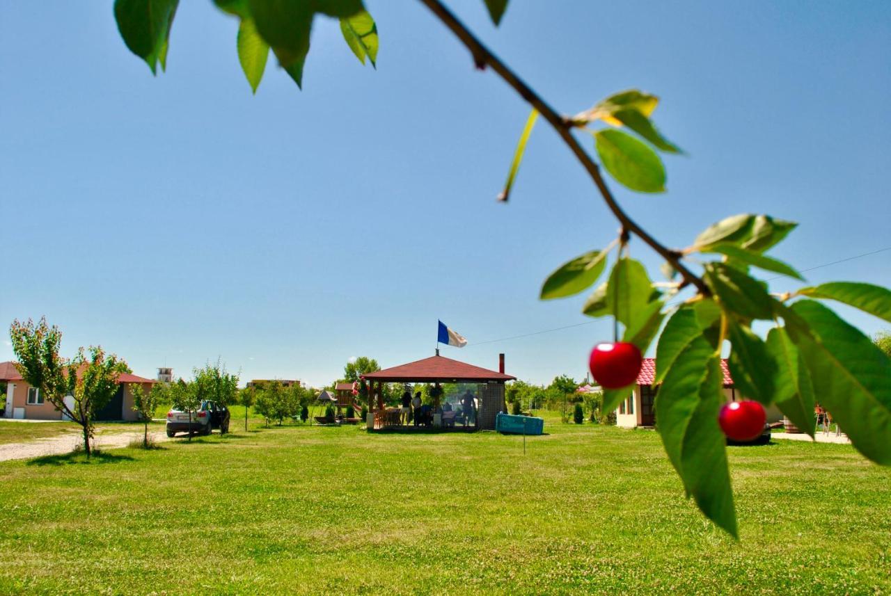 Camping La Foisor Τούρντα Εξωτερικό φωτογραφία